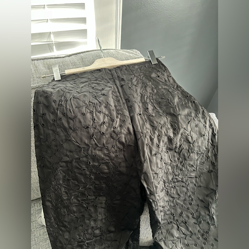 NWT: Zara Eyelet Embroidered High Waisted Pants - Picture 7 of 11